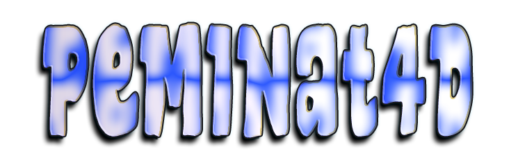 PEMINAT4D